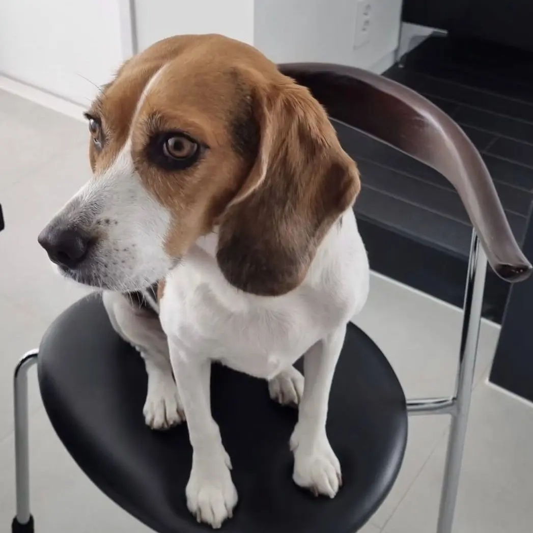 BBOSONGCHANGSUB의 이창섭