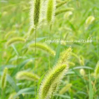 Profile image of 운터