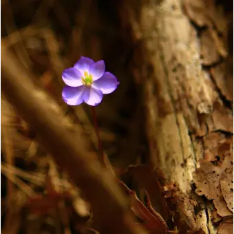 Profile image of 꾸몽