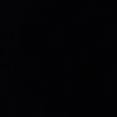 Profile image of 최아림