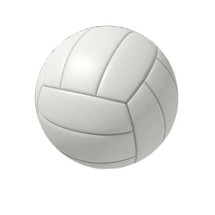 imschoolsad의 피구부