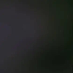 Profile image of 유기사