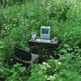 Profile image of 옝