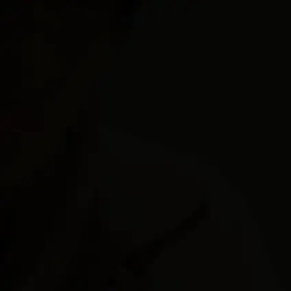 CoarseOptic0827의 指輪の約束