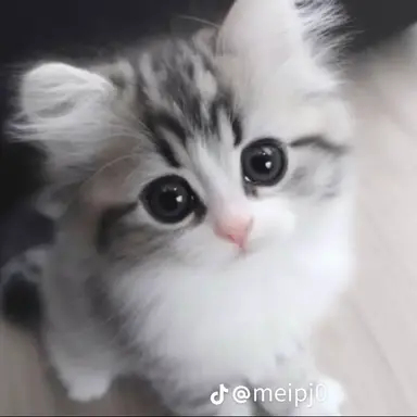 Profile image of ブリ子