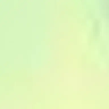 Profile image of 茶子