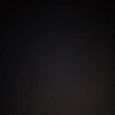 Profile image of 아림 하민 준빈