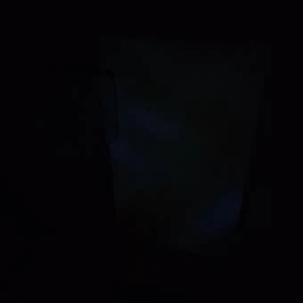 루미