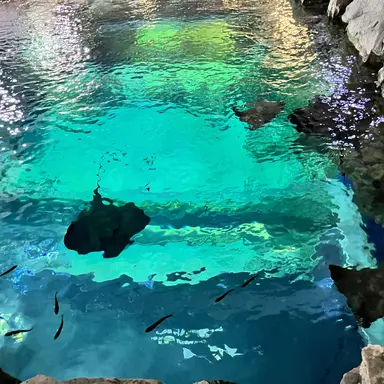 Profile image of 김윤호