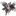 모나크