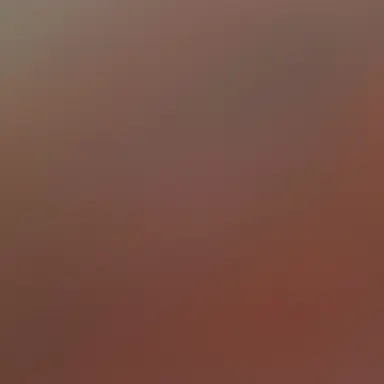 Profile image of 홍두식