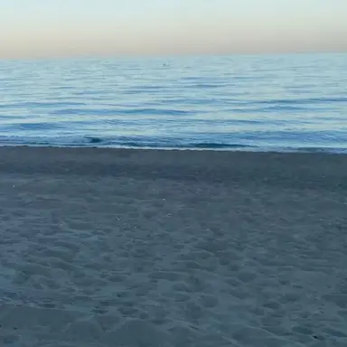 Profile image of 야마모토 쿄카