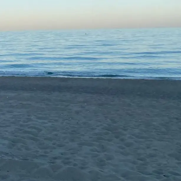 VastFort2138의 야마모토 쿄카