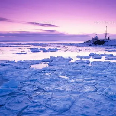 Profile image of 宗主様