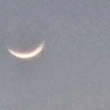 Profile image of ㅁㅈㅎ