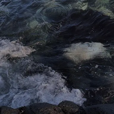 Profile image of 차현우