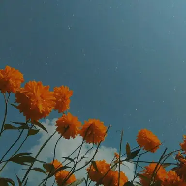 Profile image of 박덕개