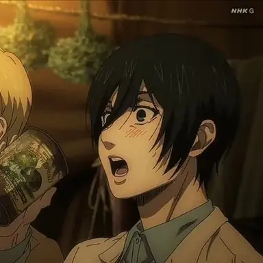 Profile image of Mikasa Ackerman