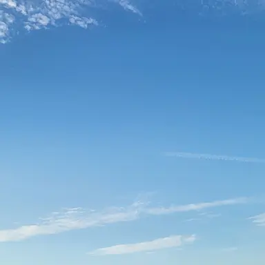 Profile image of 선생님