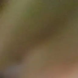 Profile image of 나나미 켄토