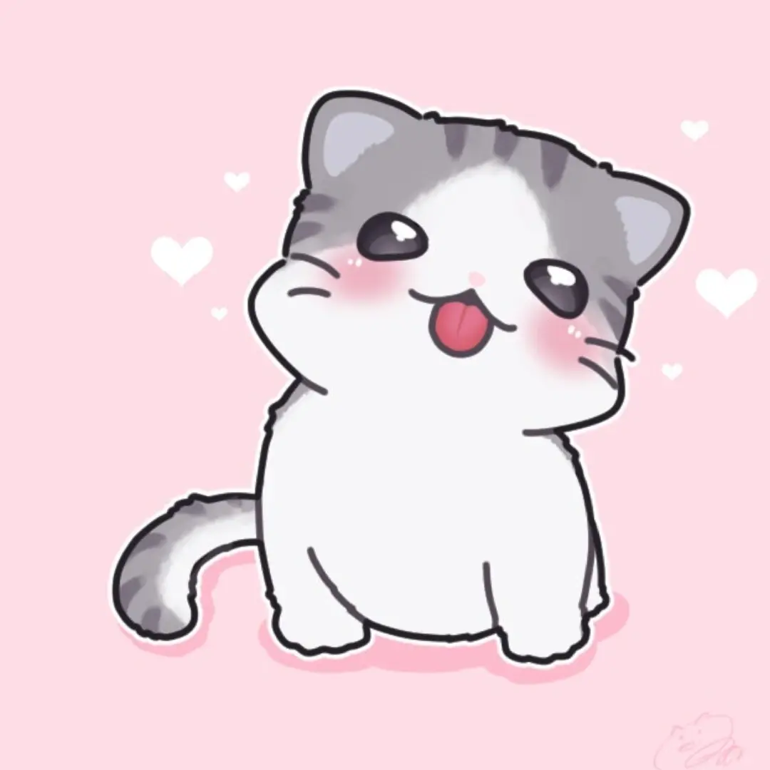 happy0226의 고양이