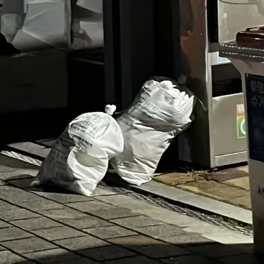 Profile image of 이나경