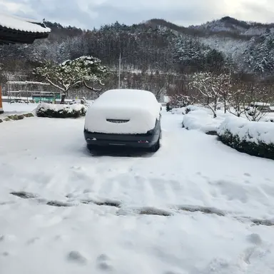 Profile image of 료미