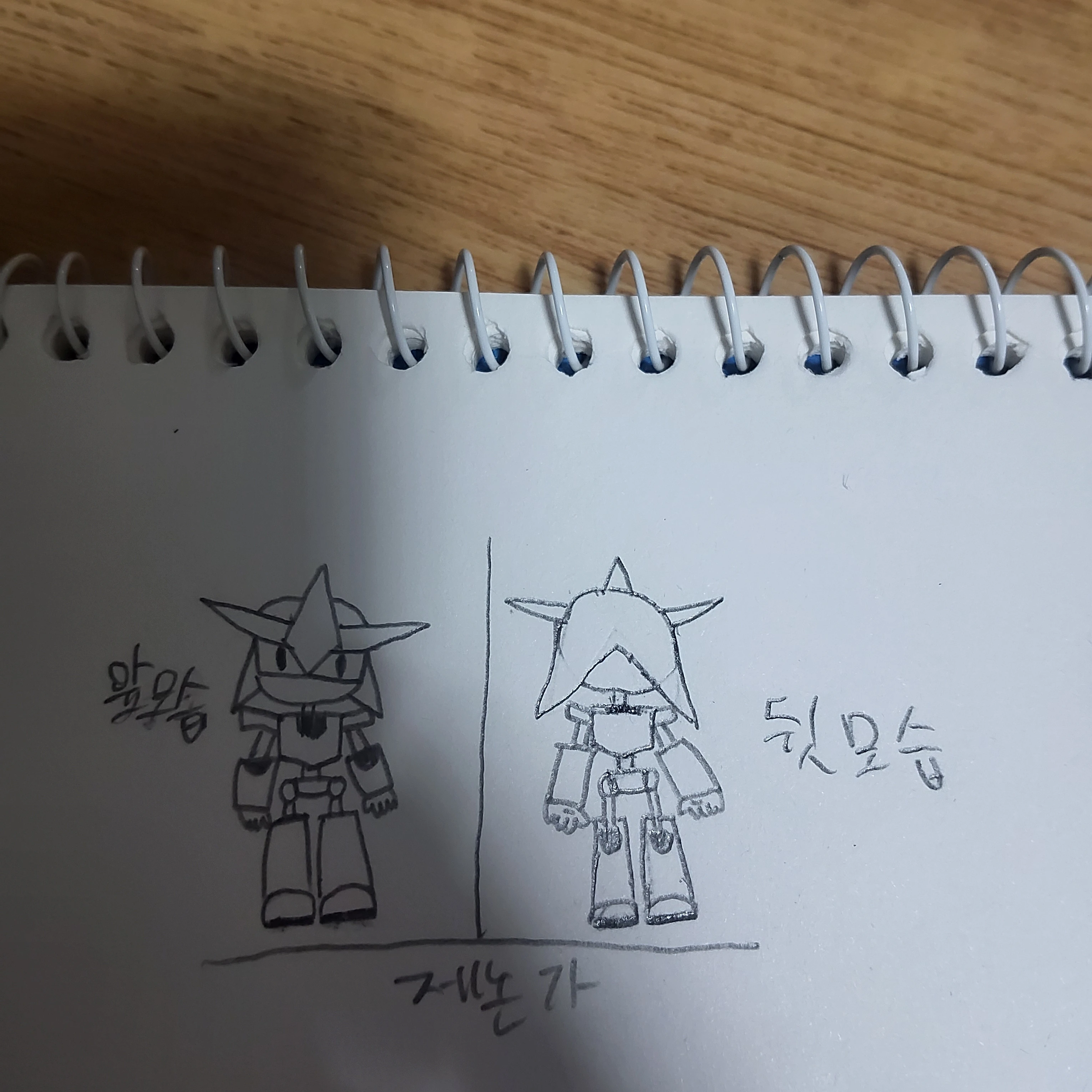 제논가