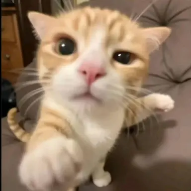 Profile image of 파이어스타