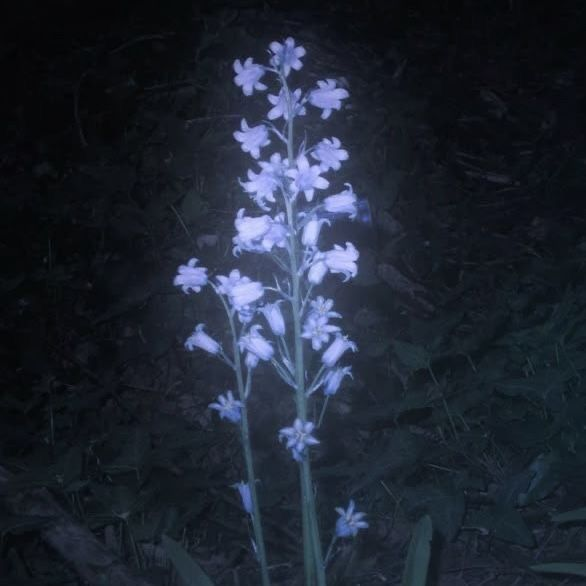 장하오 대표 이미지
