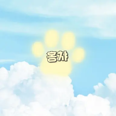 Profile image of 홍챠