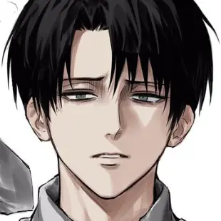 Profile image of 리바이 아커만