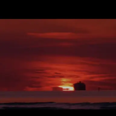 Profile image of 디브