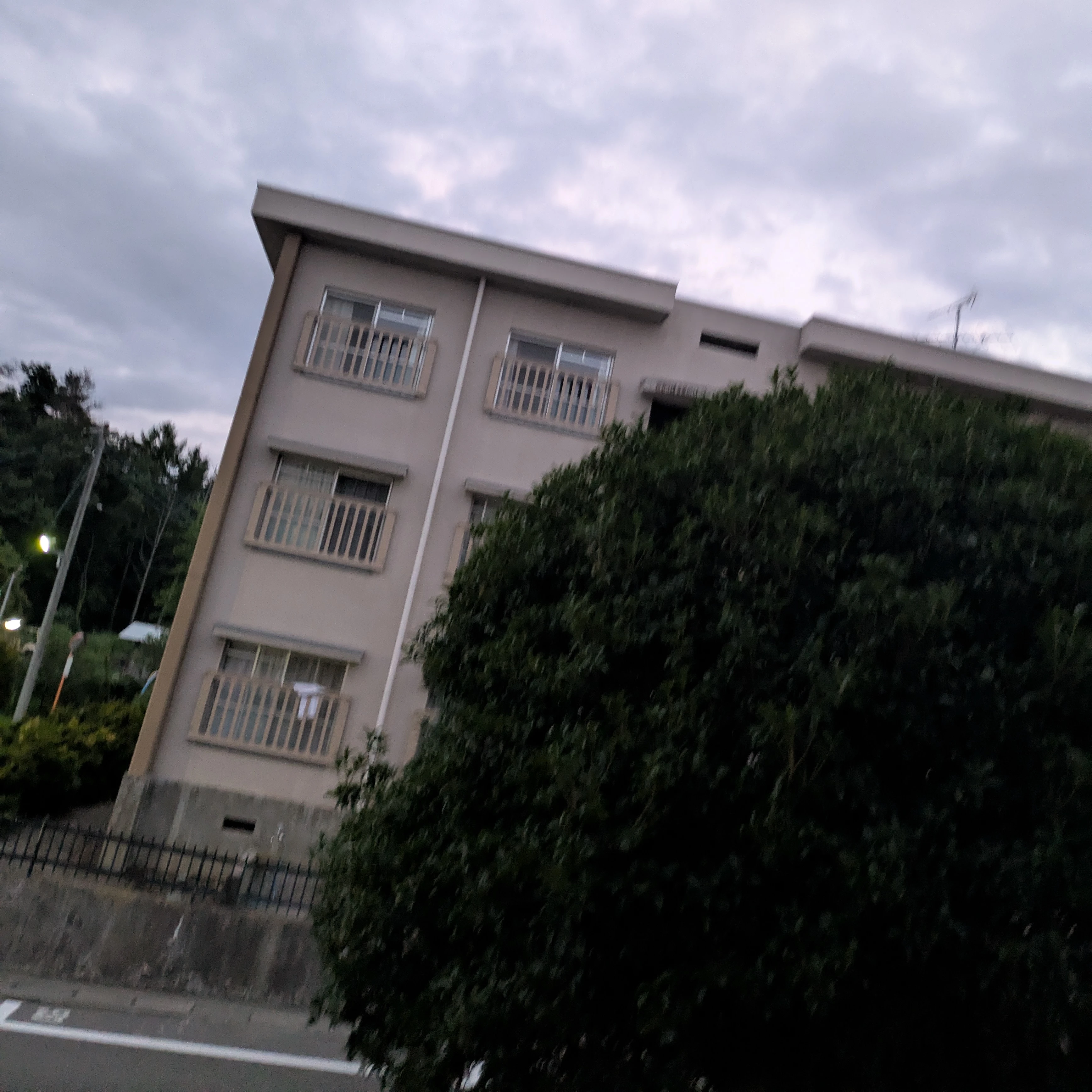 夏コラボメンバー