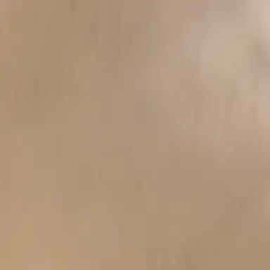 Profile image of 동민