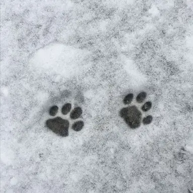 Profile image of 김민정