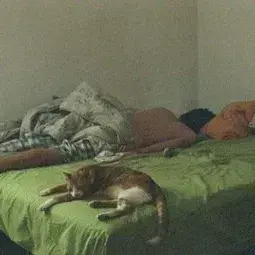 FluidSwipe2205의 BL - Roommate