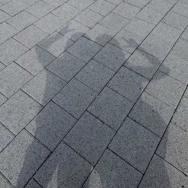 Profile image of 유저님