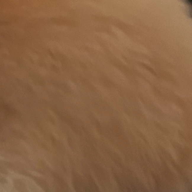 チャニ