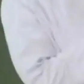 Lonelyby의 다음 생에는