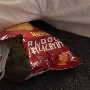 Lonelyby의 다음 생에는