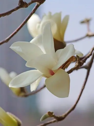 09.의 전하,