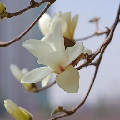 Profile image of 서량