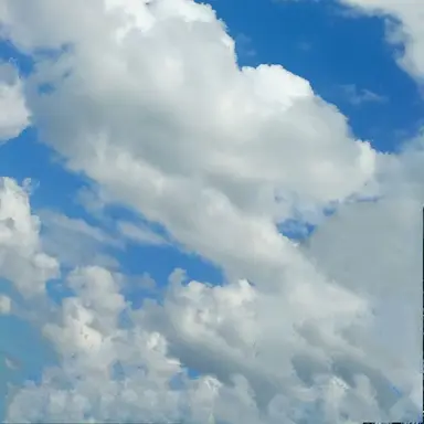 Profile image of 클라우디