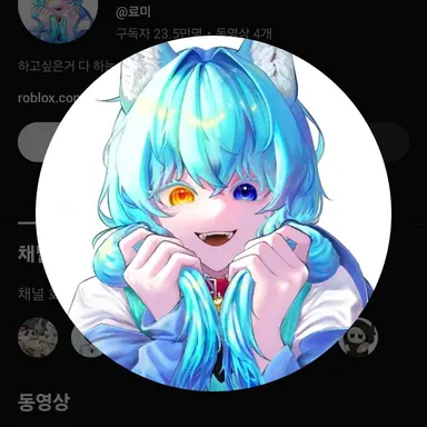 Profile image of 료미