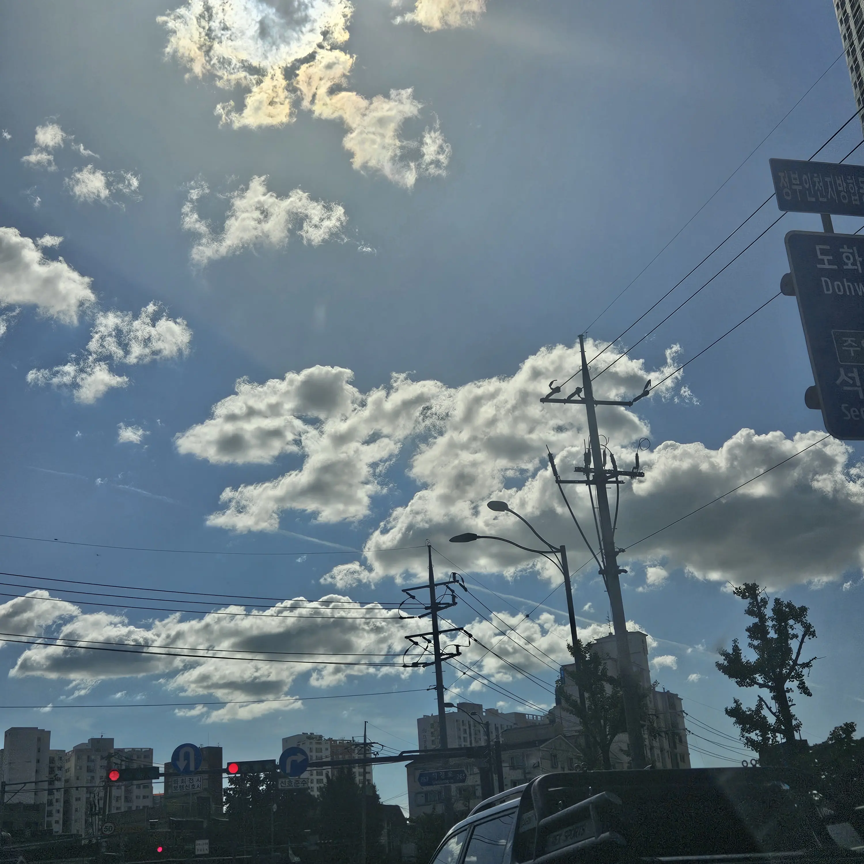 GummySquid9564의 죄송합니다.