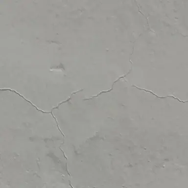 Profile image of 없음