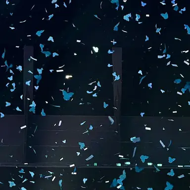 Profile image of 강영현