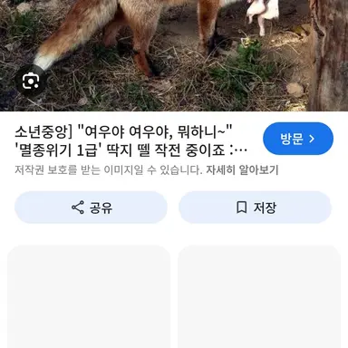 Profile image of 여우