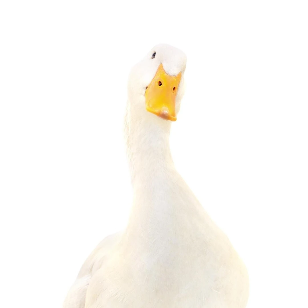 박한유